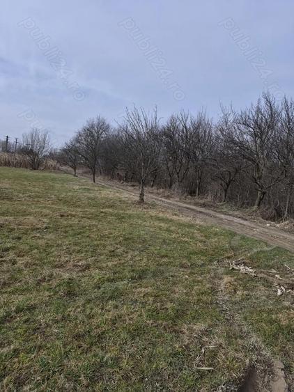 Teren premium intravilan Dealul Gro?ilor, Baia Mare - 2