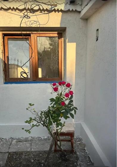 Casă cu 3 camere în Central