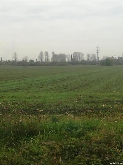 Teren de 10000 mp, în Dorobanțul