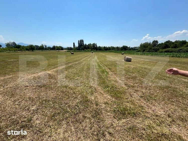 Casă cu 3 camere cu Teren 35000 Mp în Curățele