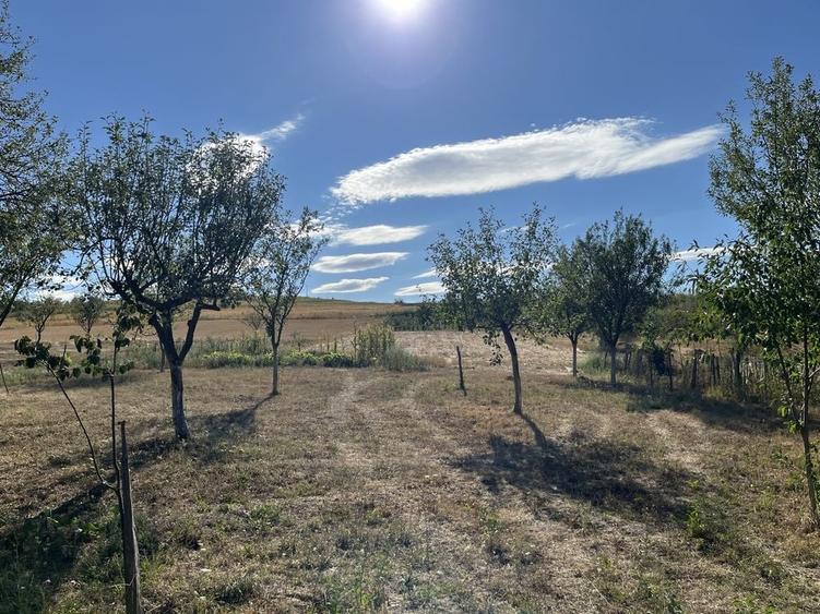 Casă cu 3 camere în Borumlaca
