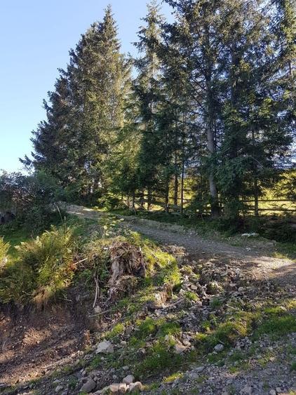 Vand Teren-Padure - 7