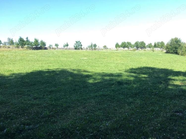Teren de 5400 mp, în Oglinzi
