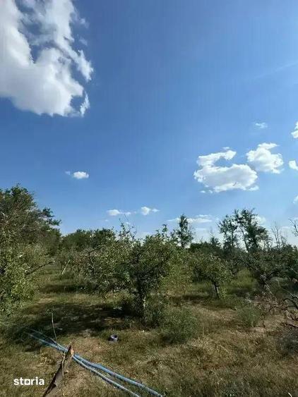 Casă cu 5 camere cu Canalizare în Ion Roată