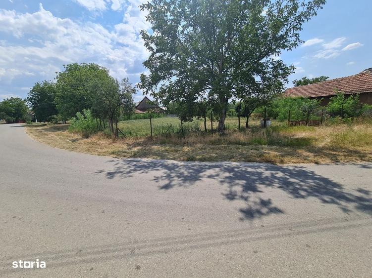Spațiu comercial, în Răpsig