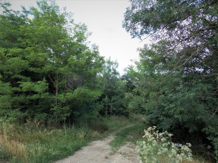 Teren Construcții intravilan de 1500 mp, în Lazu