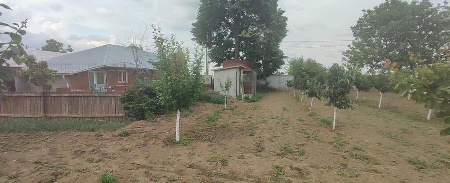 Casa 5 camere cu livada 2200 mp- Varasti - 10