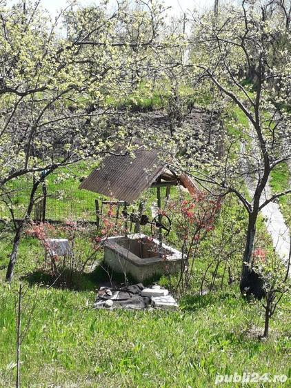 Casa de vanzare in comuna Rosia de Amaradia jud Gorj - 10