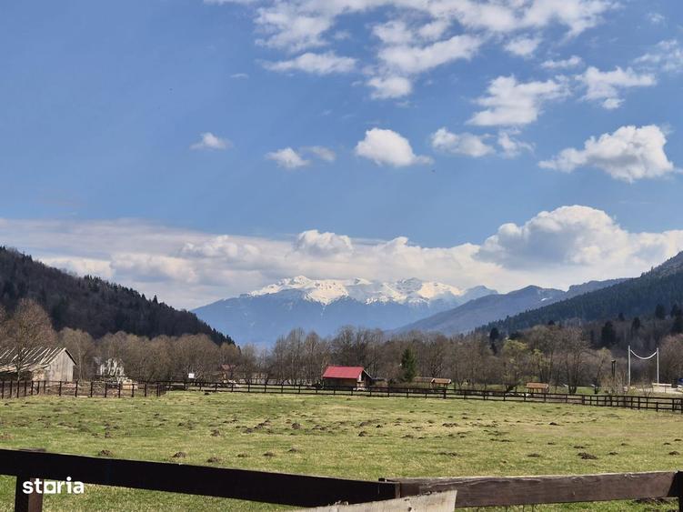 Teren intravilan cu vedere la munte, 1200 mp, acces usor, Plaiul Foii - 13