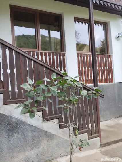 vand cabana la Rimetea,Alba - 1