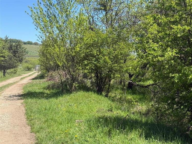 Teren lINTRAVILAN, langa Lempes, construibil - 4