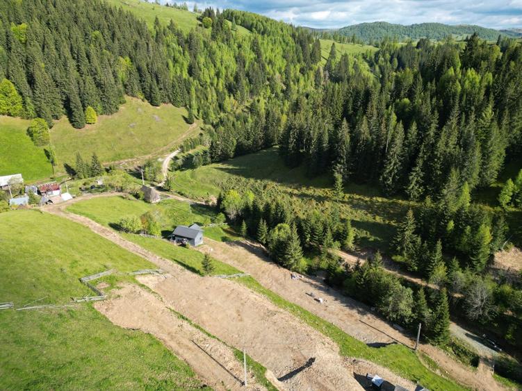 Teren de vanzare, Muntele Bocului Baisoara ,teren1000 mp - 17