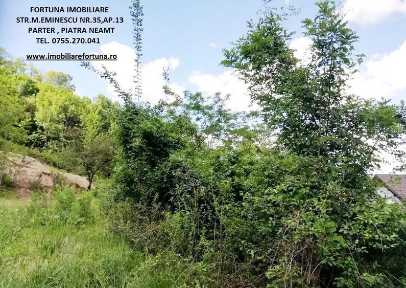 Teren 2000 mp, str.Nicu Albu, cadru natural superb - 4