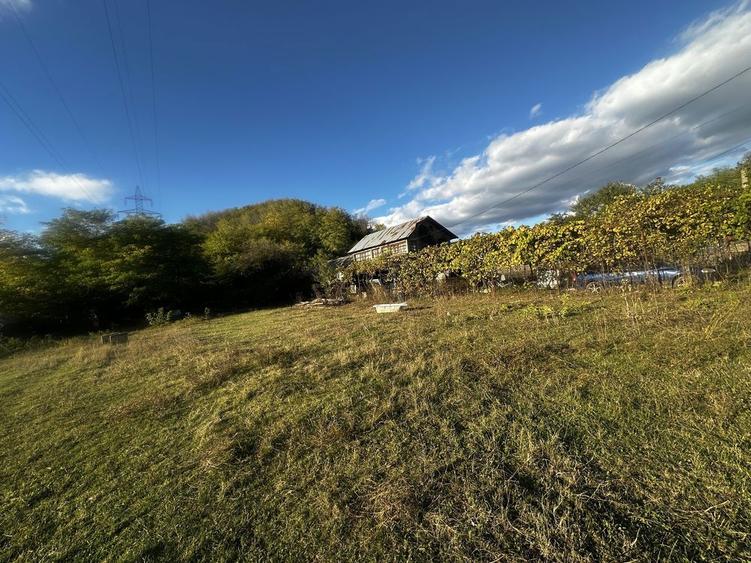 Vand teren, intravilan 800 mp - 6