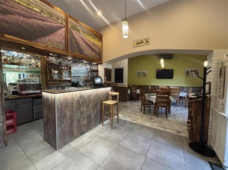 RESTAURANT GYULA | UNGARIA | PANOURI SOLARE | 245 MP |  TERASA PE LAC - 2