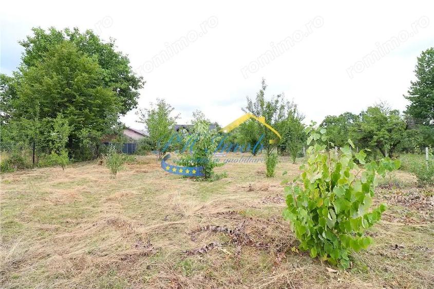 Teren Intravilan de vanzare, Campina - 4