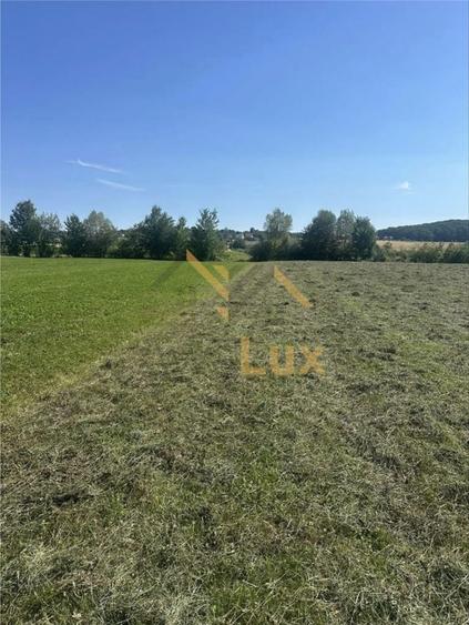 Teren extravilan, Oportunitate de investitii: hala, depozit, agrement - 5