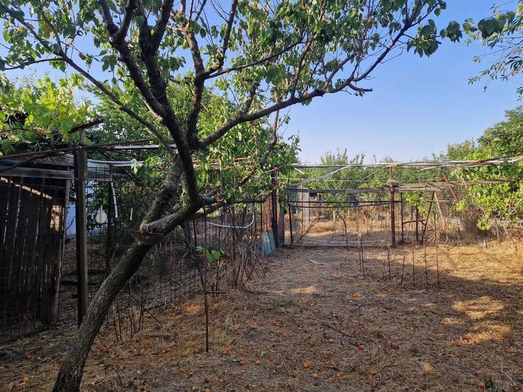 Particular: 1000mp teren deschidere lac Tasaul cu casa veche - 1