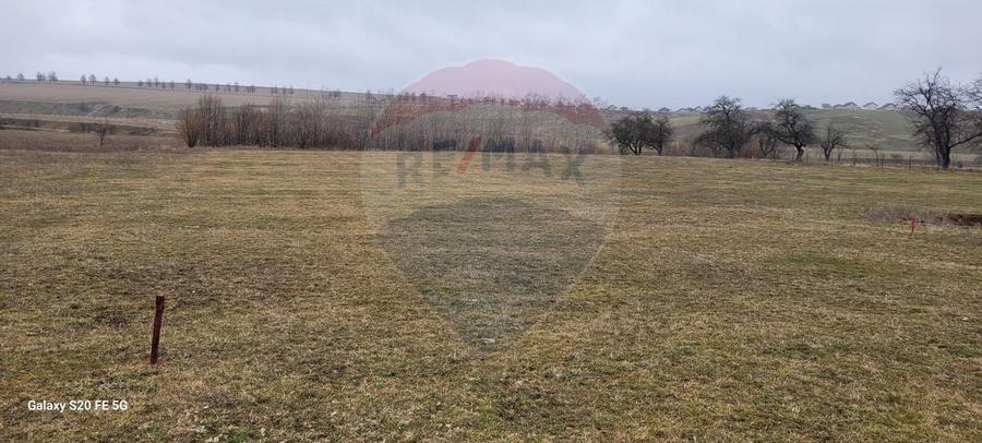 Teren 2925 mp comuna Mitocu Dragomirnei - 20