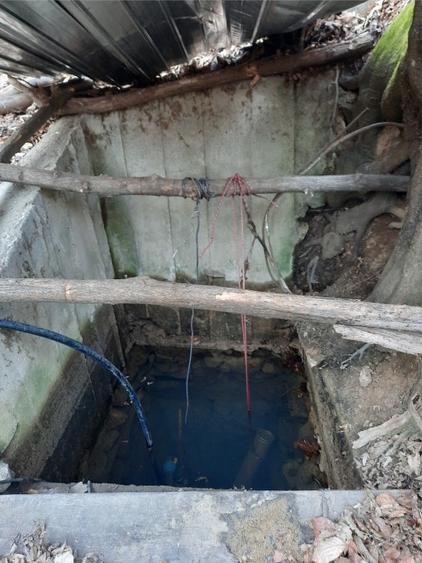 Vand casa la padure - 6