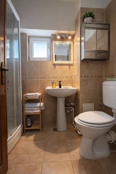 3 Camere Decomandat Zona Peninsula Gaze Termen Lung - 12