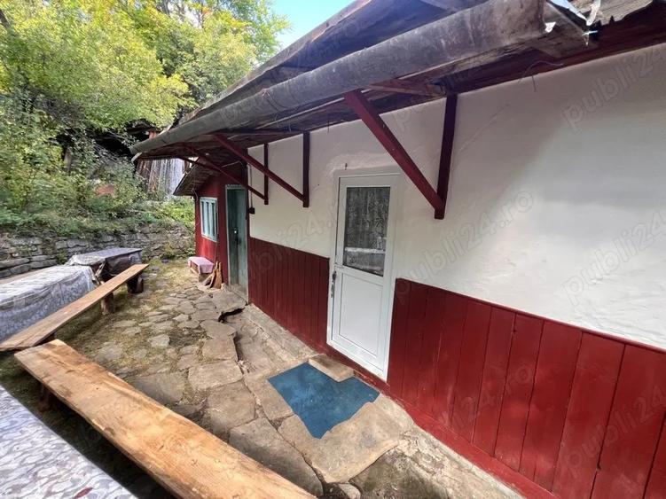 Casa batraneasca cu teren 3800mp - 1