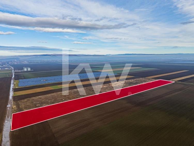 Teren exceptional pentru investitii industriale langa Brasov - 7