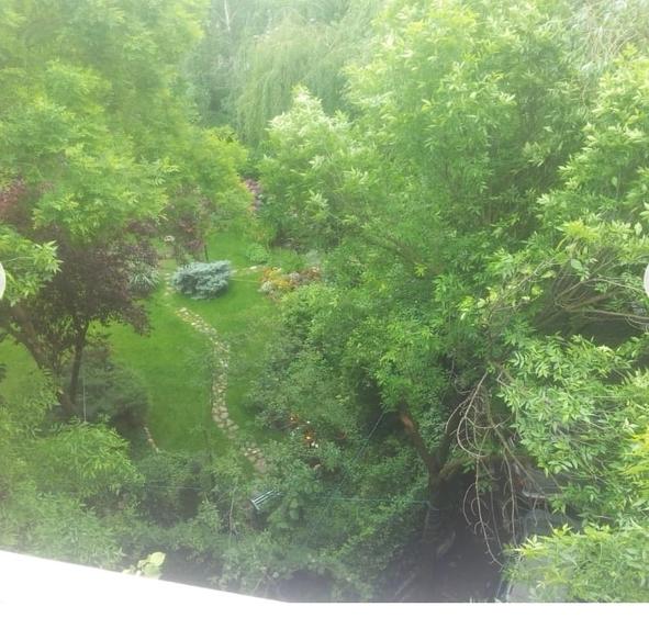 Duplex 350 mp/terasa/sauna/5 dormitoare la inchiriat - 16