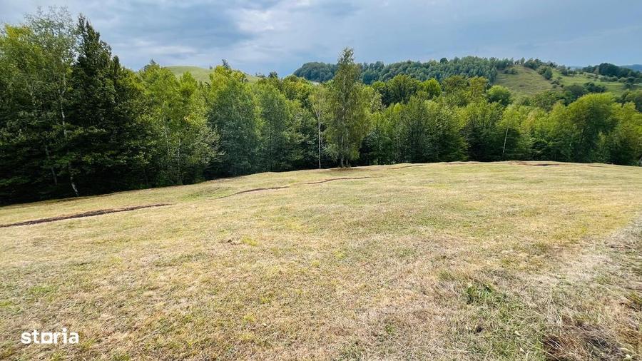 Teren De Vanzare In Zona Purcareti, Jud. Alba. 17800 Mp. - 6
