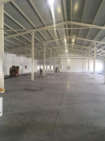 HALA DEPOZITARE ACCES DIRECT CENTURA - 1