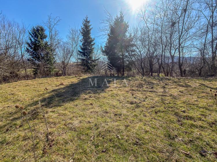 Teren intravilan, la 5 minute de cartierul Valea Aurie, 2388 mp - 2