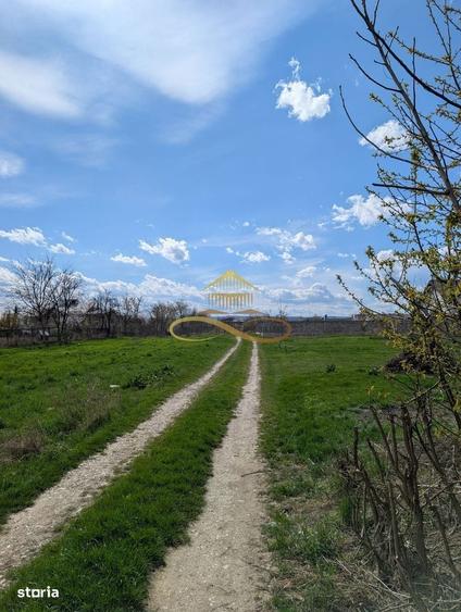 Teren Intravilan, Serbanesti - 9