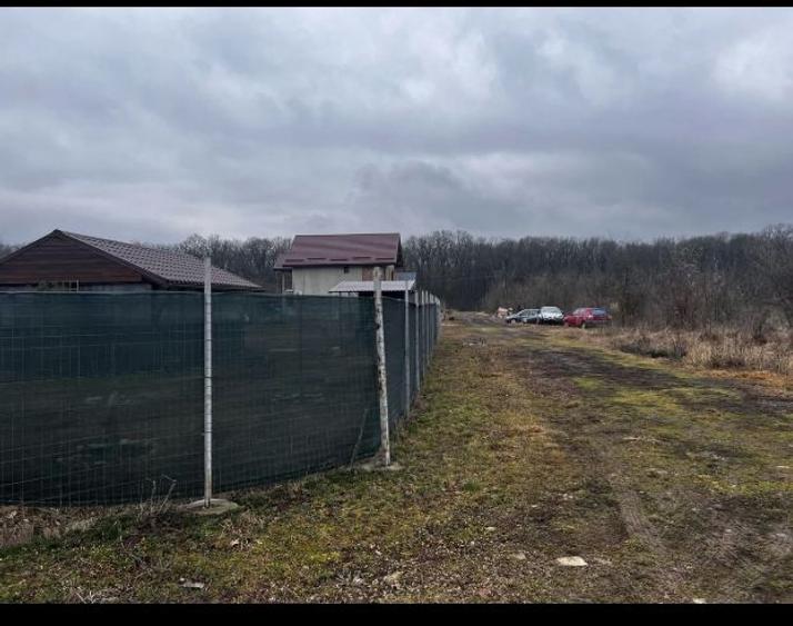 teren intravilan 656 mp Dumbravita - 1