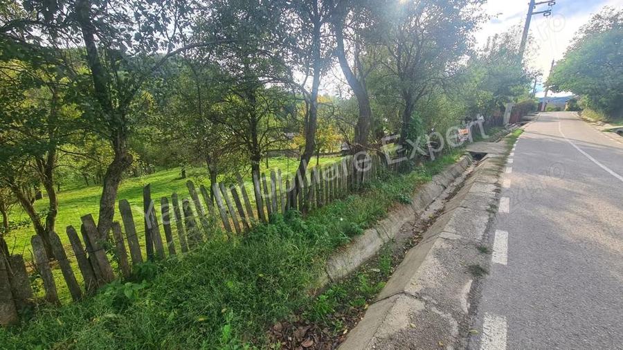 Teren de vanzare in comuna Arefu, sat Arefu, jude? Arge?. - 1