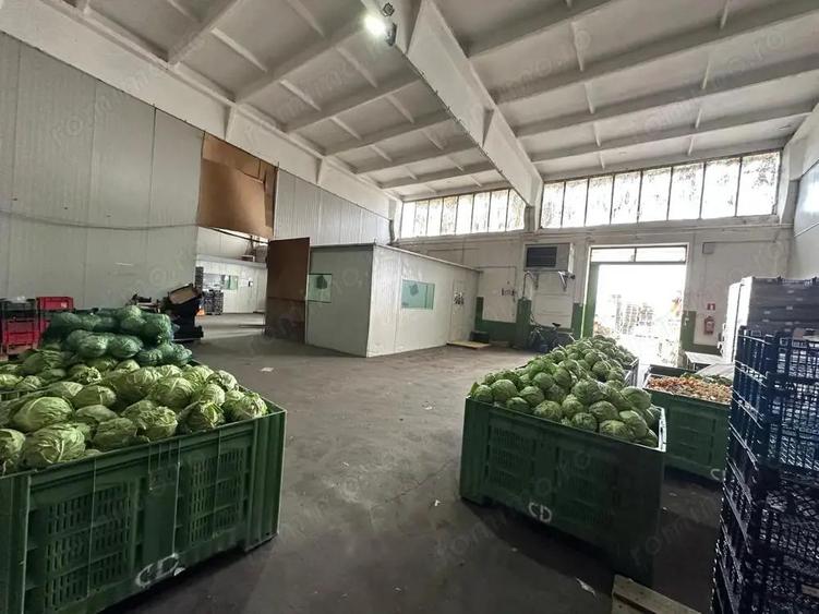 Hala de inchiriat Gradi?te/Sere, Arad-761 mp - 7