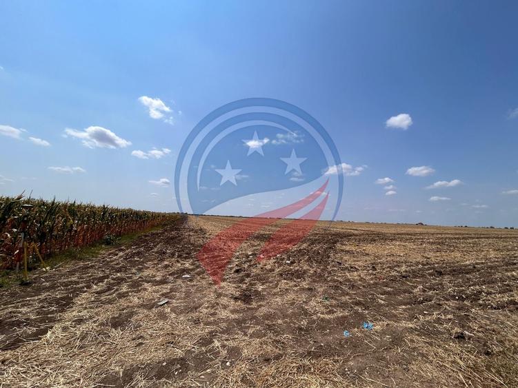 Teren intravilan de vanzare in Pielesti - 4