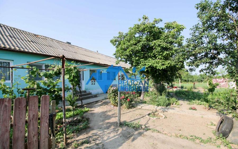 Casa cu teren in Salcioara (Jurilovca) - 2600mp - 3