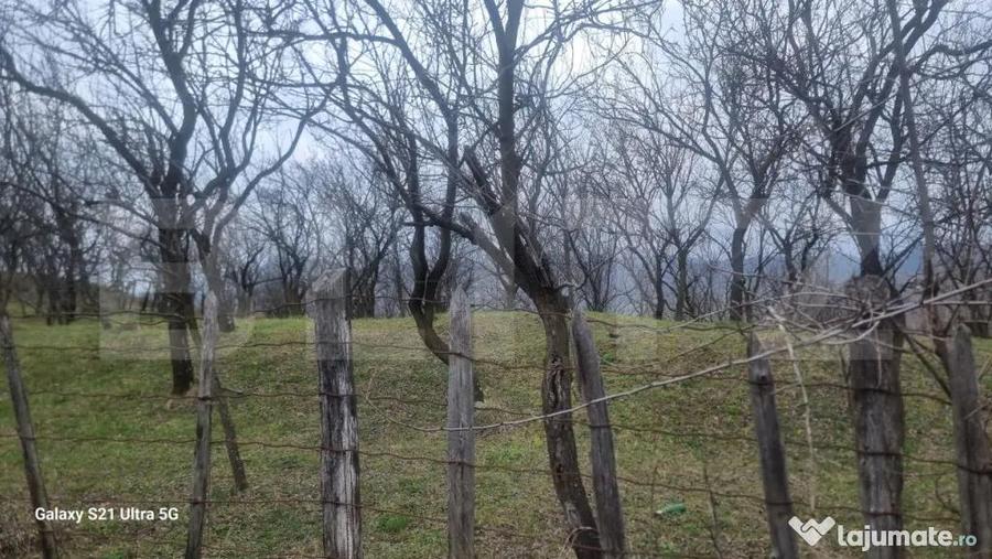 TEREN INTRAVILAN VEDERE PANORAMICA La 2 km de Manastirea CRA - 16