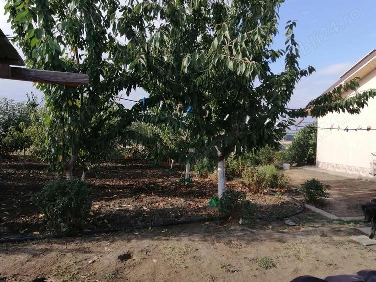 Casa de vanzare - 5