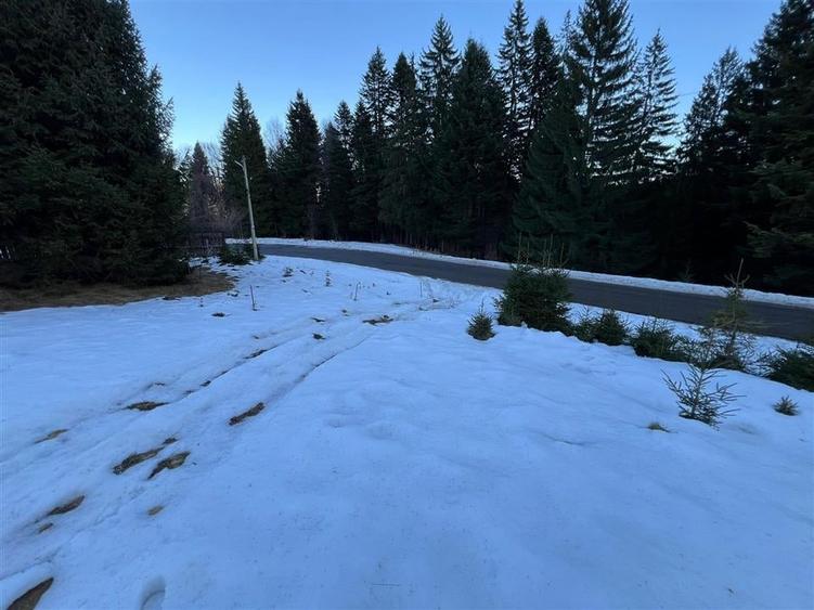 TEREN PREDEAL BRASOV - 7