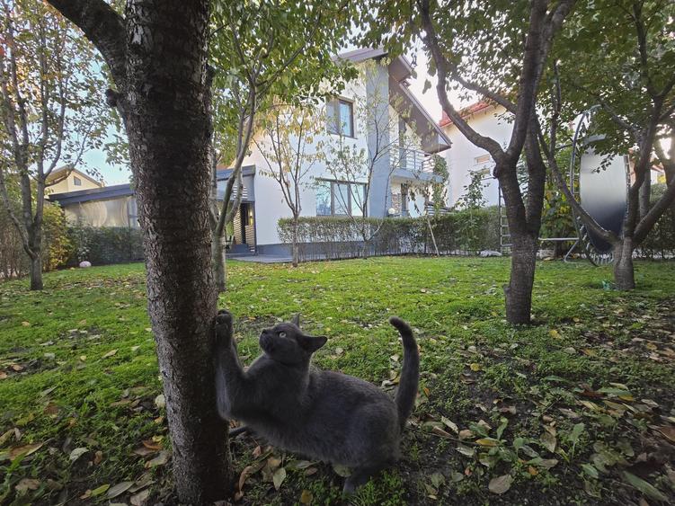 Vila mobilata si utilata- 5 camere -foisor -pod- statie dedurizare - 1