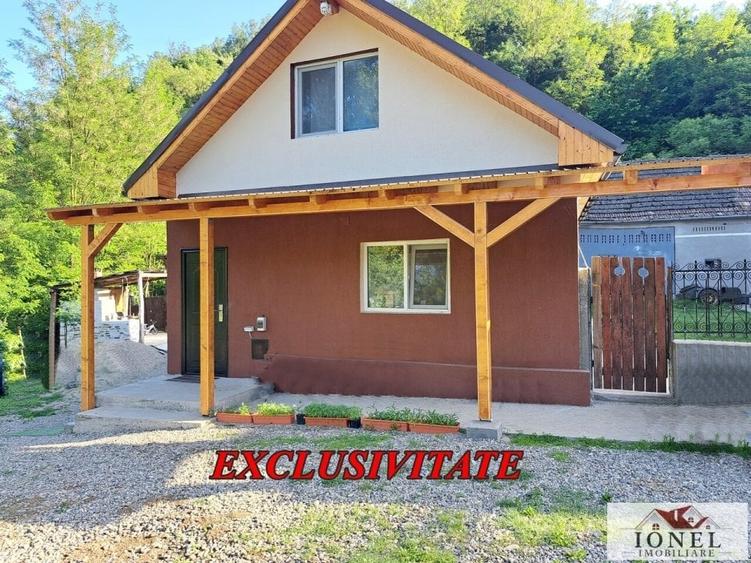 Vanzare casa cu 19.549 mp teren in Vintu de Jos - Valea Vintului - 1