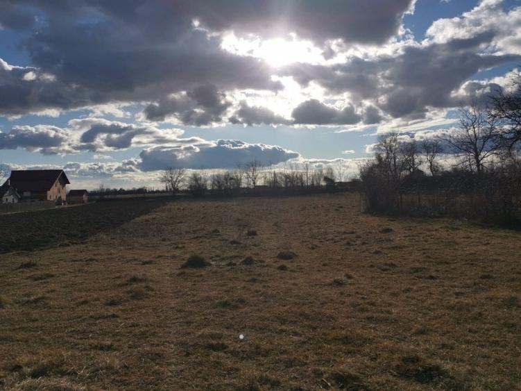 Teren Stefanesti, 5530mp, toate utilitatile - 1