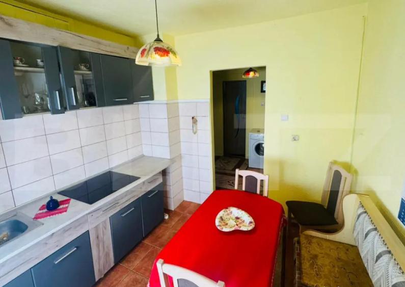 Apartament pentru vacan?a, 2 camere, 52 mp., Deda - 9