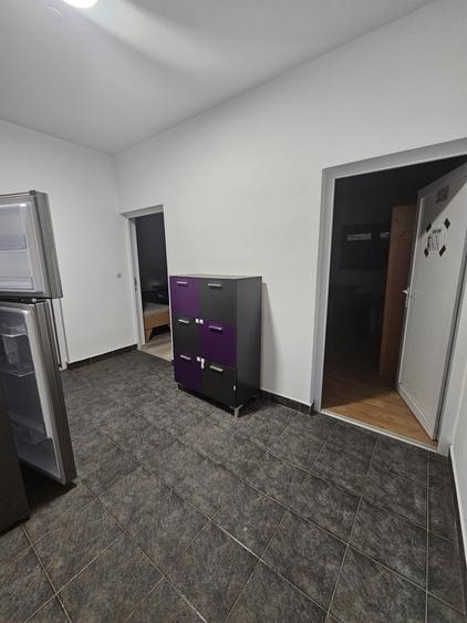 Proprietate speciala Dumbravita - casa individuala !! - 22