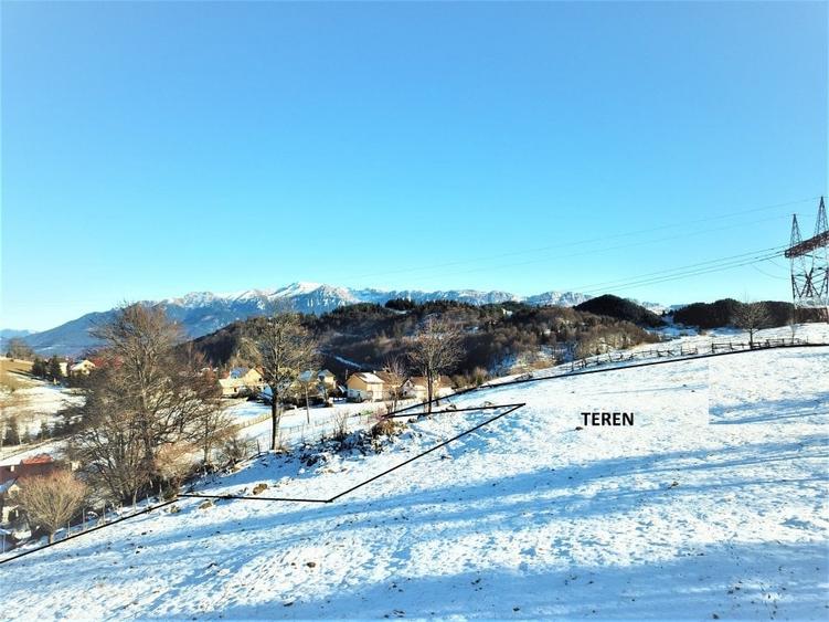 Teren unic in Fundata - 3