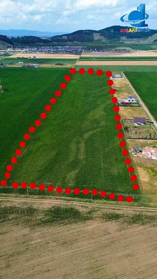 Teren Intravilan Cu PUZ Harman 32100 MP - 1