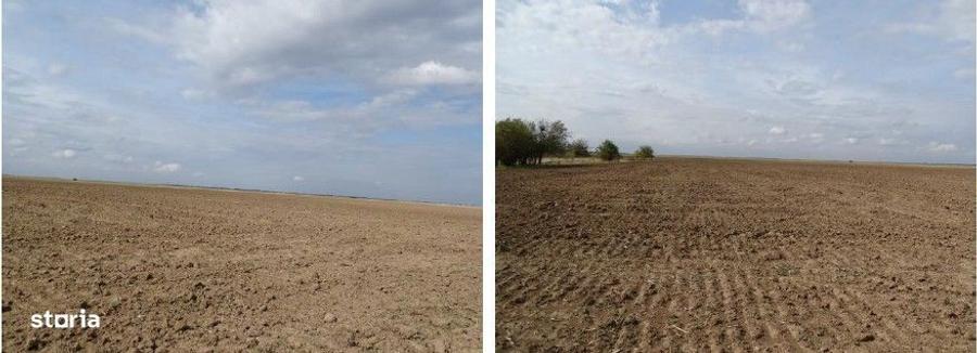 Teren extravilan Scurtu Mare, ID: R2928611 - 10