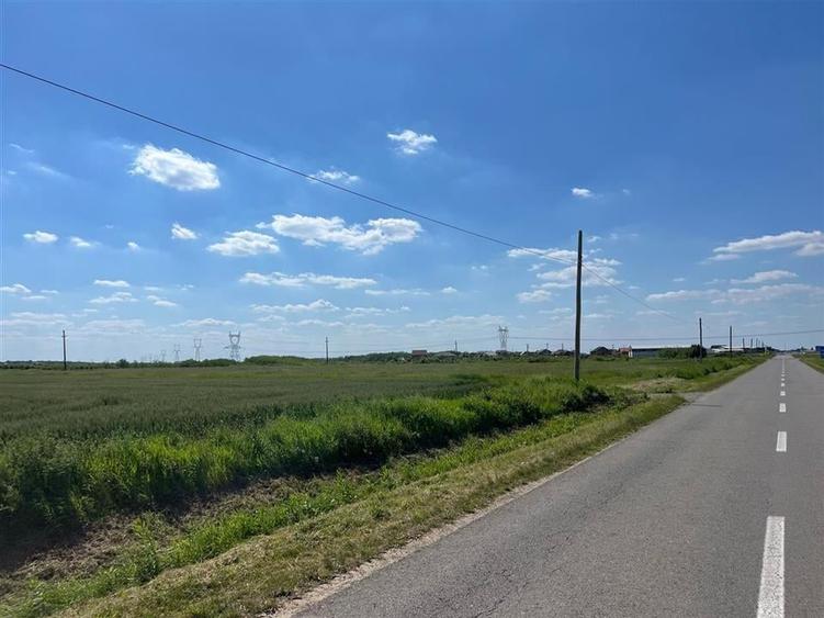 RECO Teren industrial si servicii 10 000 mp in Apateu - 6