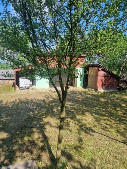 Vand casa in Jichisul de Sus - 1